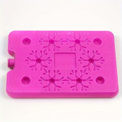2pcs Reusable Ice Box Food Fresh Preservation Transportation Supplies