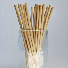 200pcs Biodegradable Paper Drinking Straws for Summer Parties