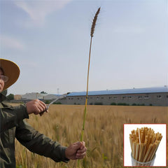 100pcs Wheat Rod Straws Halloween Party Supplies