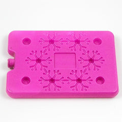 2pcs Reusable Ice Box for Food Preservation & Transportation