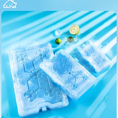 2pcs Reusable Ice Box for Food Preservation & Transportation