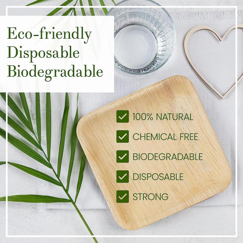 Compostable Square Palm Leaf Plate Set - Eco Friendly Bamboo Plates