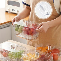 Appetizer Ice Tray with Lid - Party Platters Kitchen Food Bowl