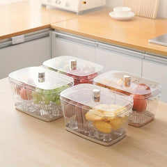 Appetizer Ice Tray with Lid - Party Platters Kitchen Food Bowl