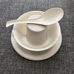 10pcs Degradable Rice Shell Fiber Disposable Tableware Set