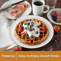 10 Pcs 22 Paper Plates Disposable Dessert Biodegradable Bagasse Plate