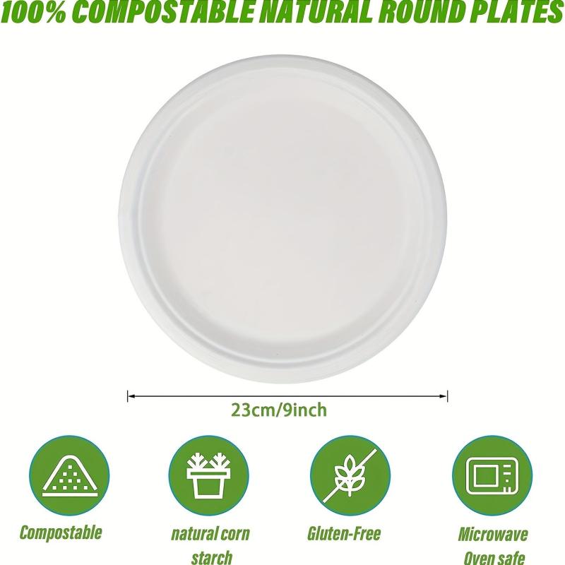 10 Pcs 22 Paper Plates Disposable Dessert Biodegradable Bagasse Plate