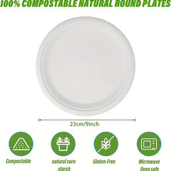 10 Pcs 22 Paper Plates Disposable Dessert Biodegradable Bagasse Plate