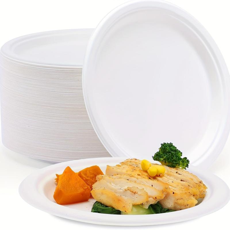 10 Pcs 22 Paper Plates Disposable Dessert Biodegradable Bagasse Plate