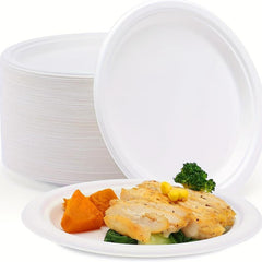 10 Pcs 22 Paper Plates Disposable Dessert Biodegradable Bagasse Plate