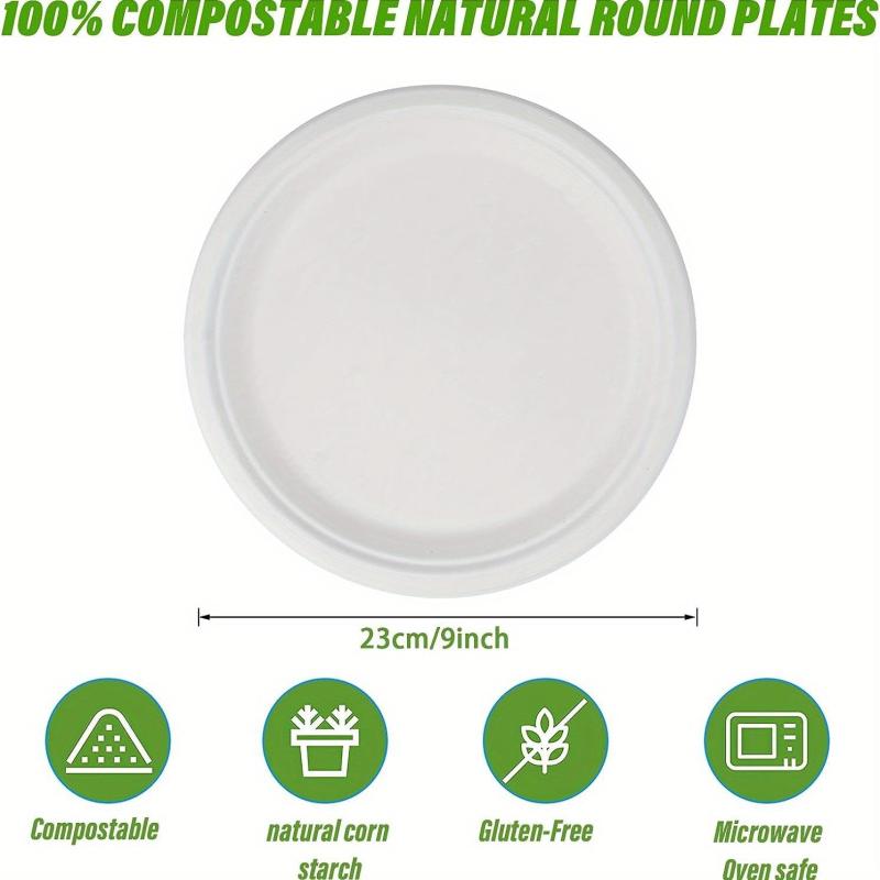 10 Pcs 22 Paper Plates Disposable Dessert Biodegradable Bagasse Plate
