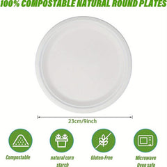 10 Pcs 22 Paper Plates Disposable Dessert Biodegradable Bagasse Plate