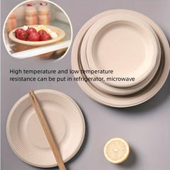 10pcs Disposable Sugarcane Plates 15 24 20 32 25 Natural Dinner Dessert Plates