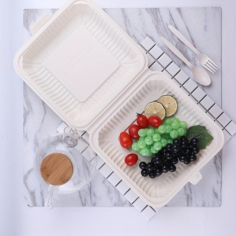 1000ml Biodegradable Clamshell Food Containers with Lid