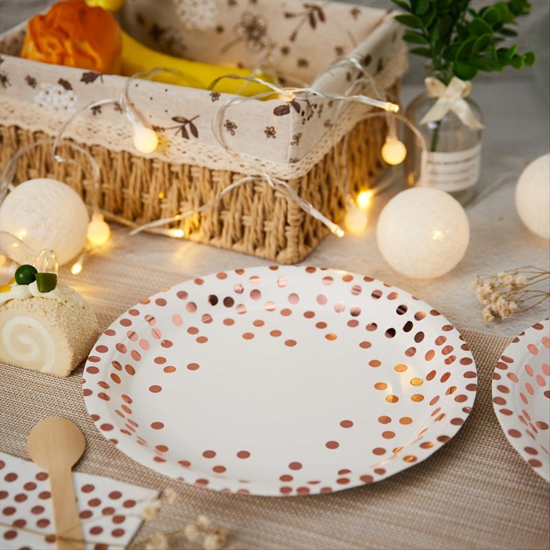 Disposable Party Dinnerware Set with Napkins Cups