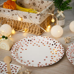 Disposable Party Dinnerware Set with Napkins Cups