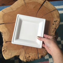 100pcs Biodegradable Compostable 6-Inch Square Sugarcane Plates