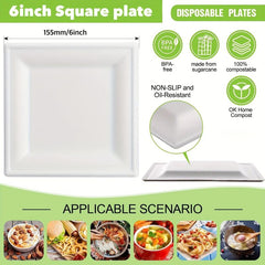 100pcs Biodegradable Compostable 6-Inch Square Sugarcane Plates