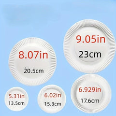 10pcs Disposable Cake Tray Meal Tray Set Fruit Tray
