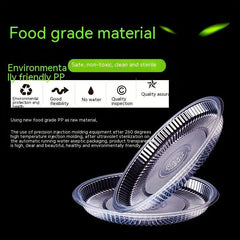10pcs Disposable Plastic Plates Vegetable Plates Fruit Plates Thickened