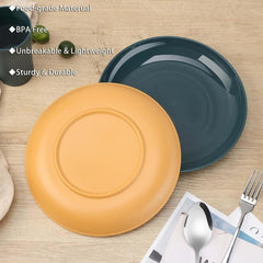 APEO 6pcs 10 inch Dinner Plates Set Spaghetti Dish Steak Dish