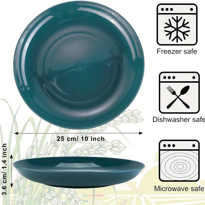 APEO 6pcs 10 inch Dinner Plates Set Spaghetti Dish Steak Dish