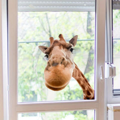 Giraffe Glass Window Sticker - Removable Vinyl Waterproof Window Film