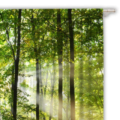Enchanted Forest Curtains - Sunshine Scene Window Drapes