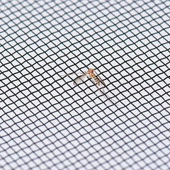 Door Window Gauze Mosquito Net for Bedroom Living Room