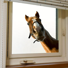 Horse Pattern Glass Window Sticker Removable Waterproof Vinyl Window Film