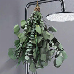 Mixed Dried Eucalyptus Bundle with Real Eucalyptus Stems