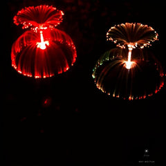 Solar Flower Lights Outdoor Garden Double Layer Jellyfish Solar Yard Lights