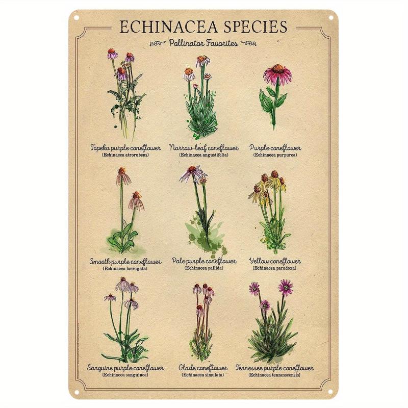 Medicinal Herbs Witches Magic Knowledge Kitchen Blessing Metal Sign