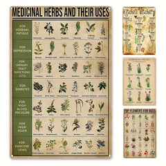 Medicinal Herbs Witches Magic Knowledge Kitchen Blessing Metal Sign