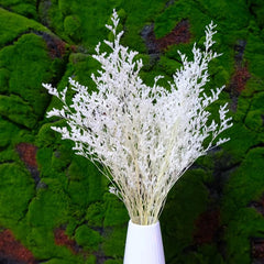 5 Pcs Dried Valentine Grass Home Decor Wedding Decorations