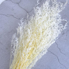 5 Pcs Dried Valentine Grass Home Decor Wedding Decorations