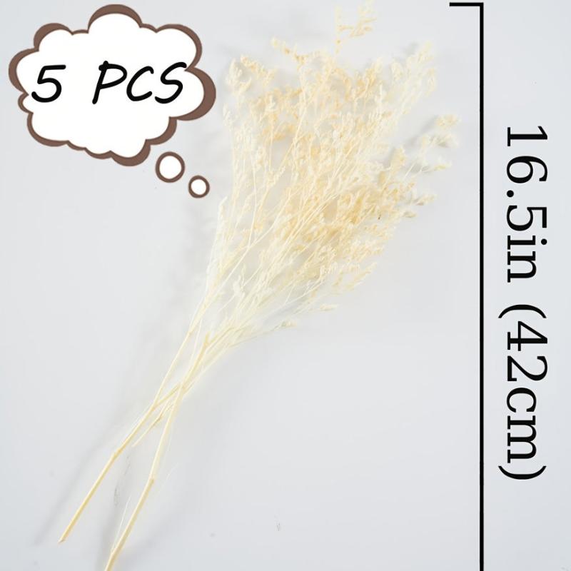 5 Pcs Dried Valentine Grass Home Decor Wedding Decorations