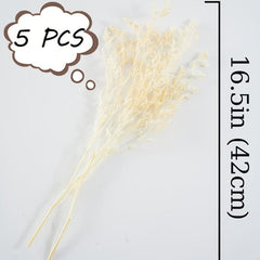 5 Pcs Dried Valentine Grass Home Decor Wedding Decorations