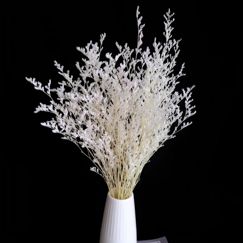 5 Pcs Dried Valentine Grass Home Decor Wedding Decorations
