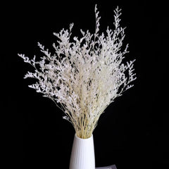 5 Pcs Dried Valentine Grass Home Decor Wedding Decorations