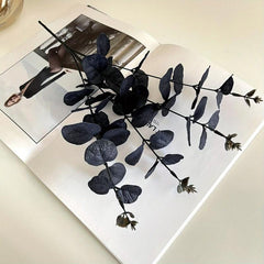 5 Elegant Rose Flowers for Home Decor, Weddings, Gardens