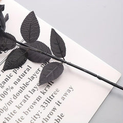 5 Elegant Rose Flowers for Home Decor, Weddings, Gardens