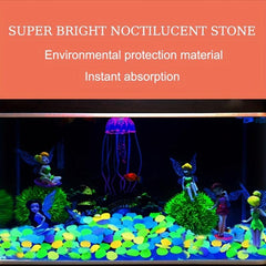 2000pcs Luminous Sand Wishing Star Bottle Fluorescent Landscaping Aquarium Set