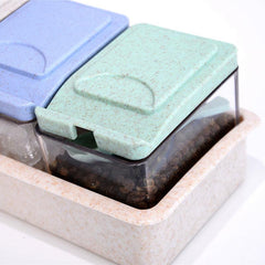 Spice Shaker Storage Set for Organized Kitchen Condiments