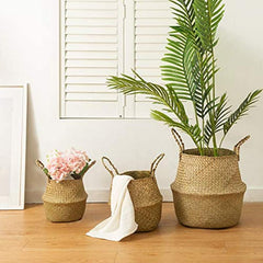 Seagrass Belly Basket - Stylish Woven Plant Pot Holder