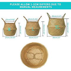 Seagrass Belly Basket - Stylish Woven Plant Pot Holder