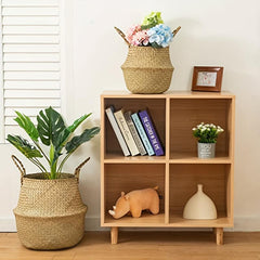 Seagrass Belly Basket - Stylish Woven Plant Pot Holder