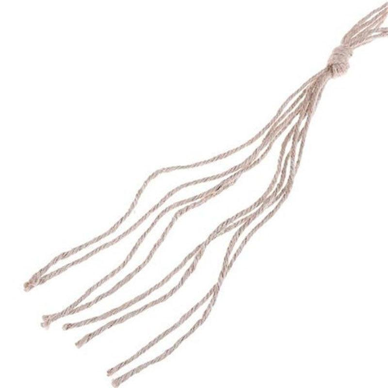 2pcs Vintage Hanging Flower Pots Holder With Hemp Rope