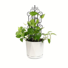 3 Plant Trellis for Climbing Plants & Flower Pots