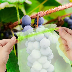 20pcs Fruit Protection Bags Drawstring Mesh for Trees